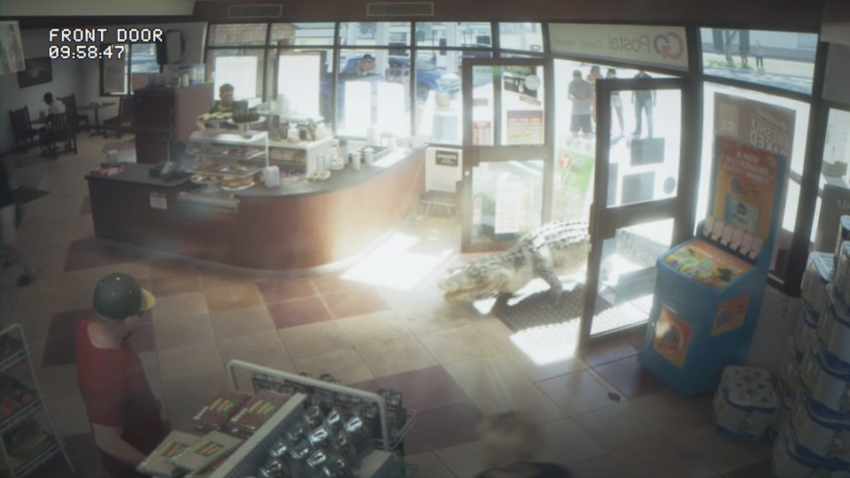 Security camera footage of an alligator walking through the front door of a convenience store
